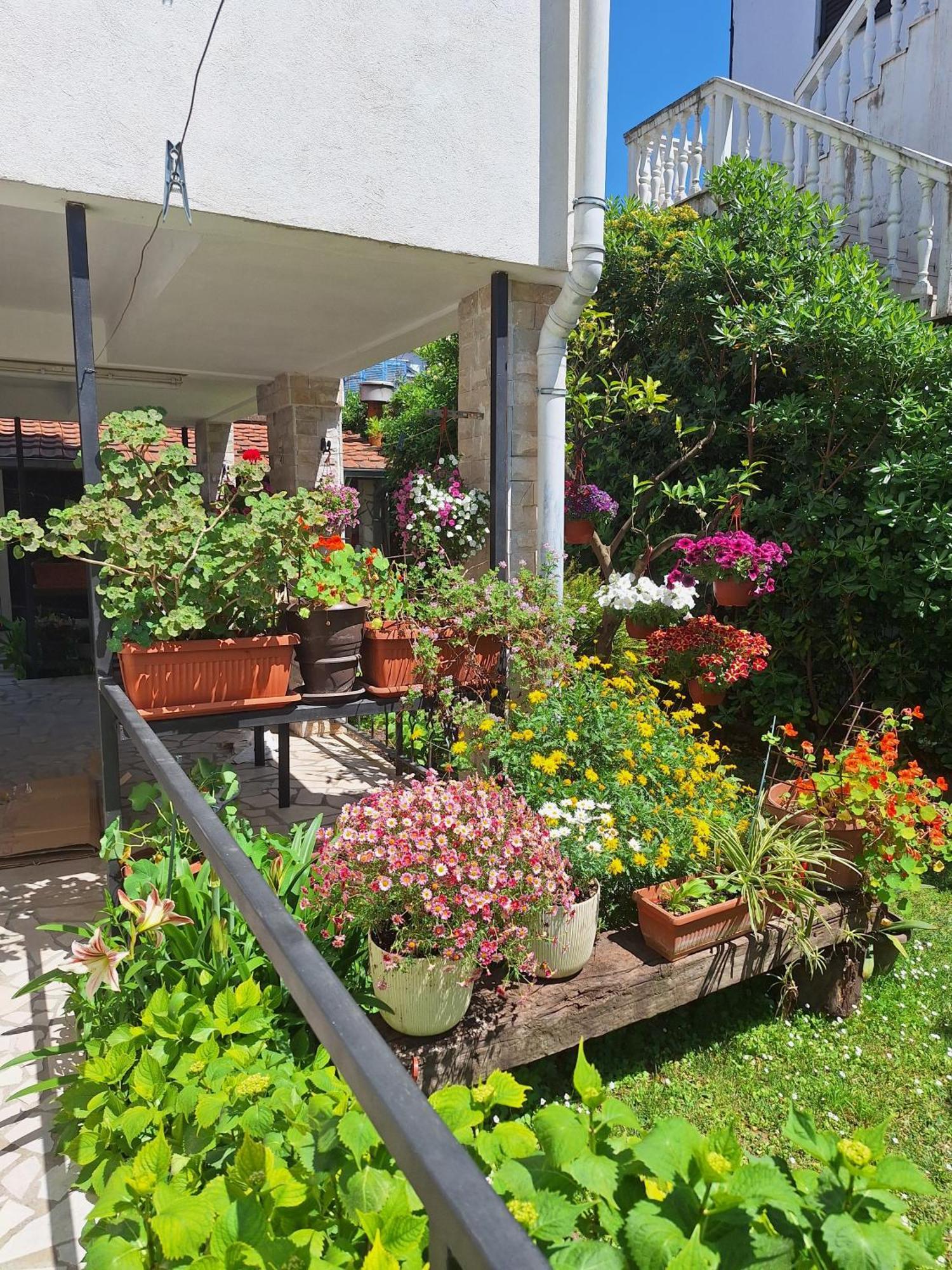 Apartmani Hortenzija Budva Exterior photo